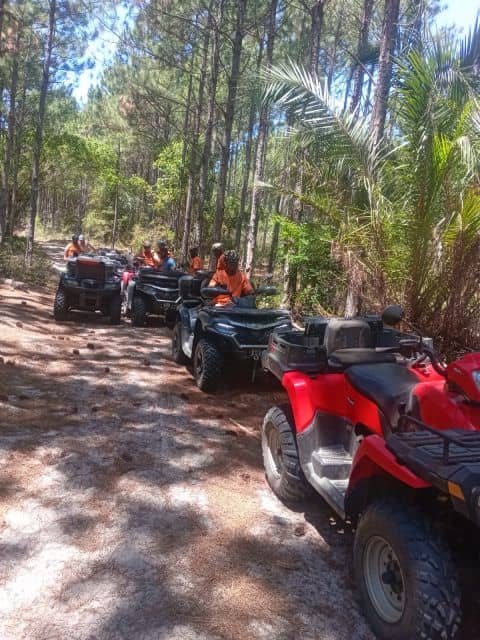 Quad biking through the coastal forest